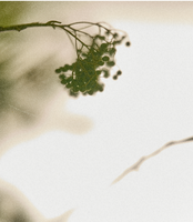 트렌드를 넘어선 약속